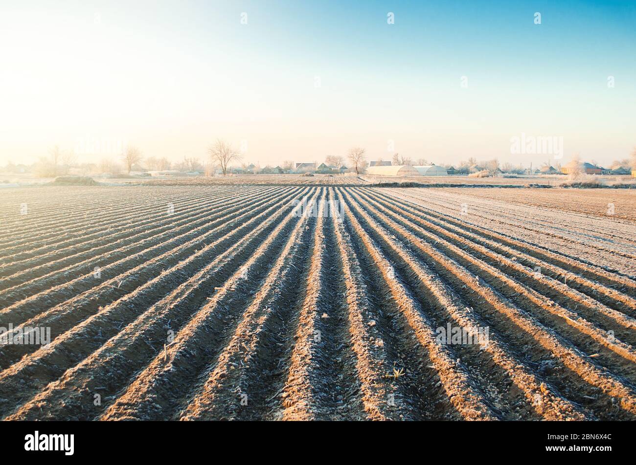 Winter farm field ready for new planting season. Agriculture and agribusiness. Preparatory agricultural work for spring. Choosing right time for sow f Stock Photo