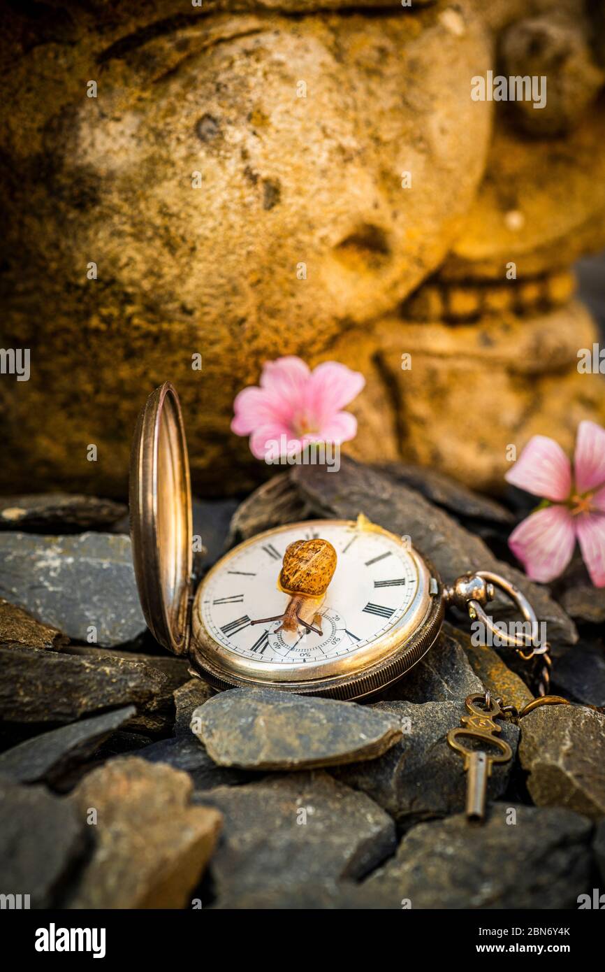 Antique Watch with Snail Stock Photo