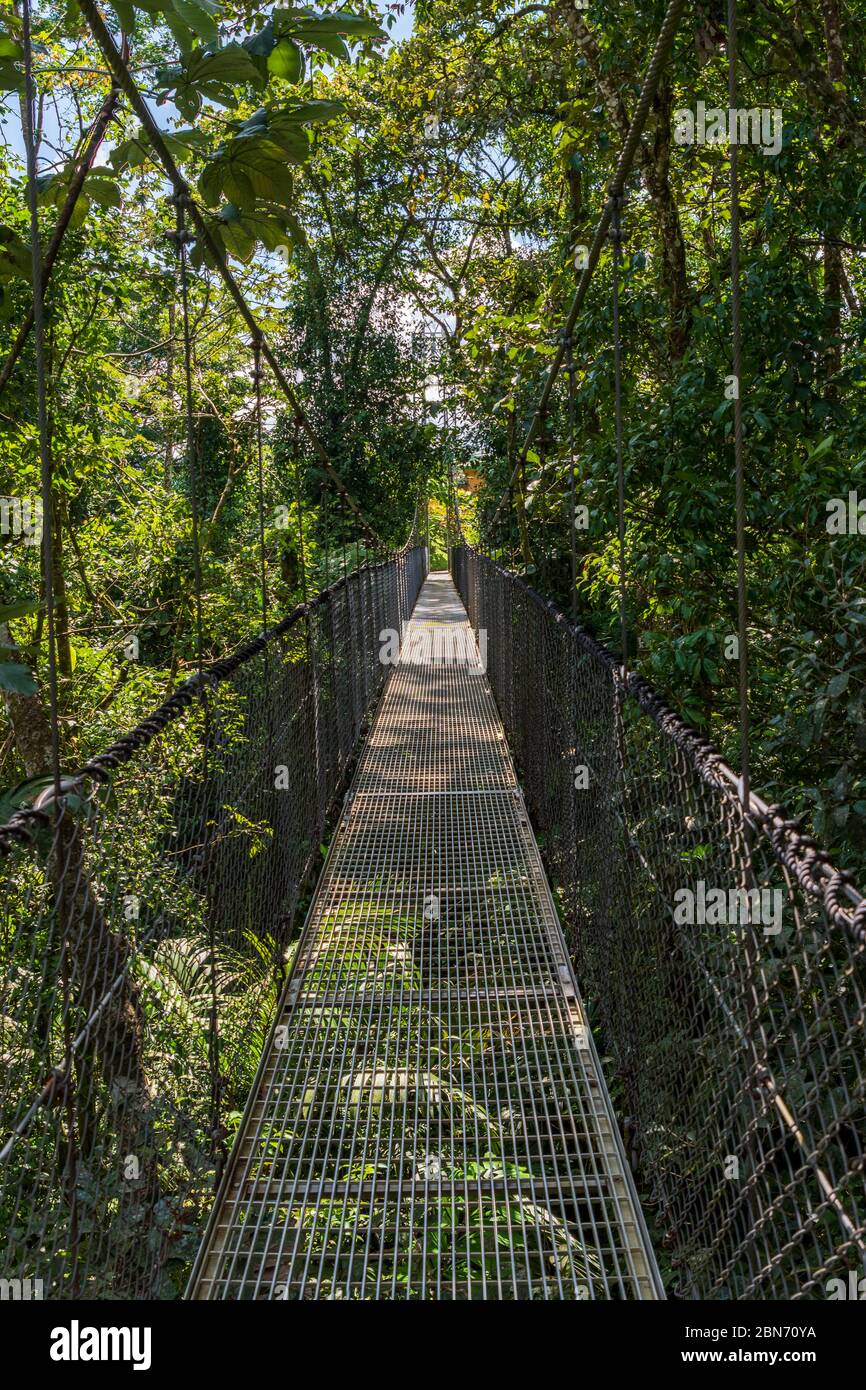 The Hanging Bridges of Arenal, Mistoco Park, Costa Rica Stock Photo