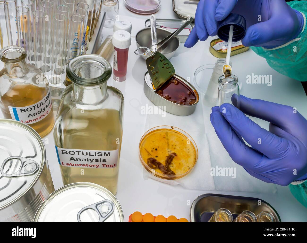 Experienced laboratory scientist analyzing a sample from a canned food can, botulism infection in sick people, conceptual image Stock Photo