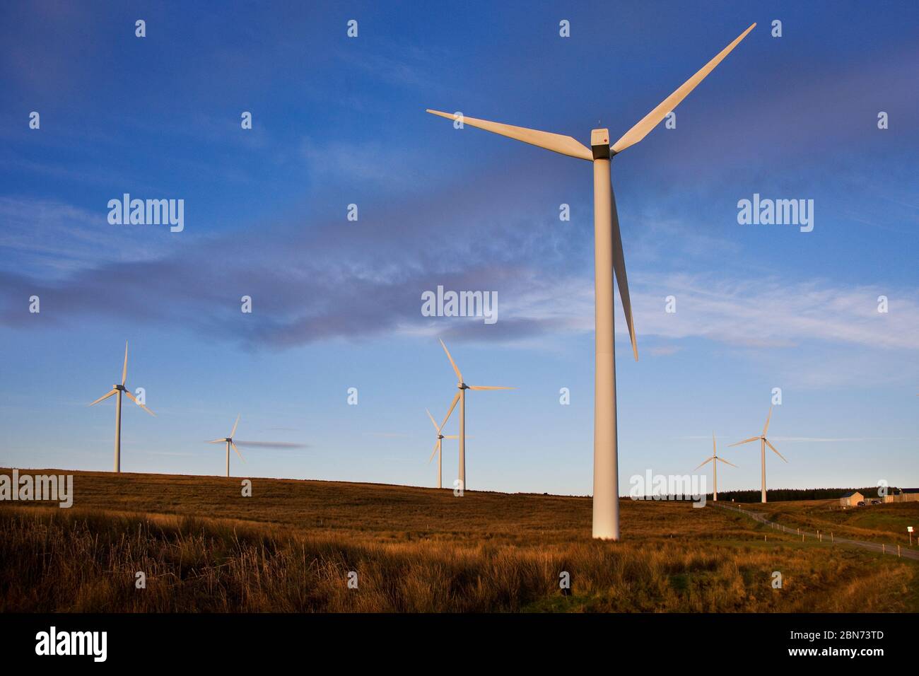 Wind farm at tangy, Kintyre, Argyll Stock Photo Alamy
