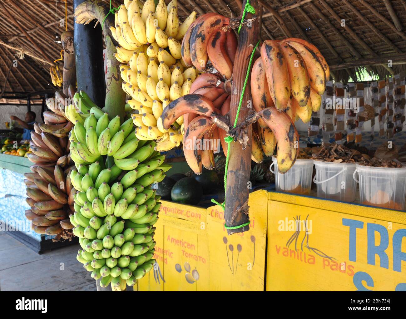 Different types of bananas for sale in a market stall. Tanzania, Africa Stock Photo