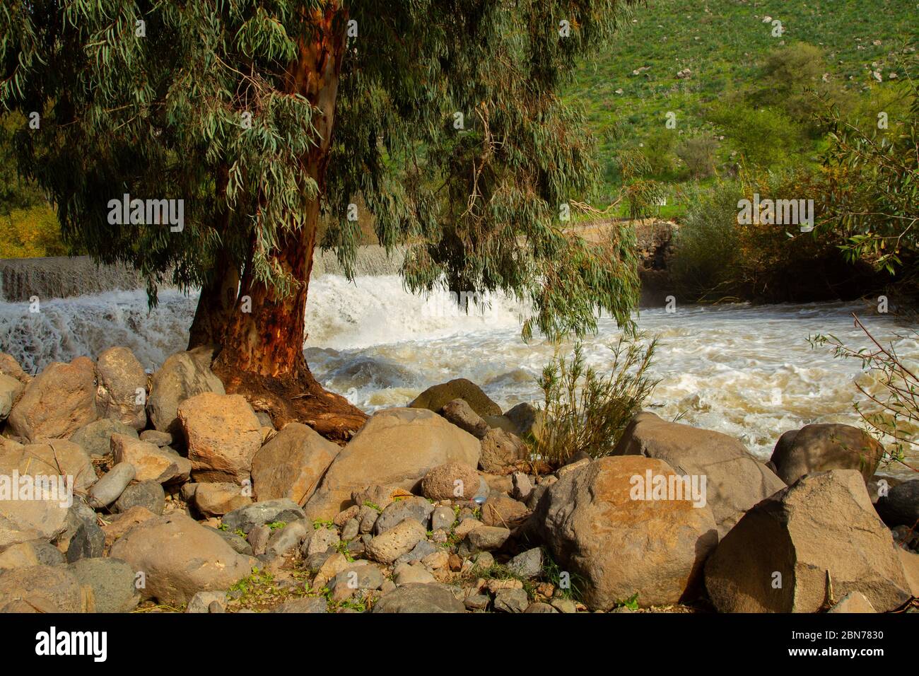 Israel, the Jordan river flows into the Sea of Galilee from the north