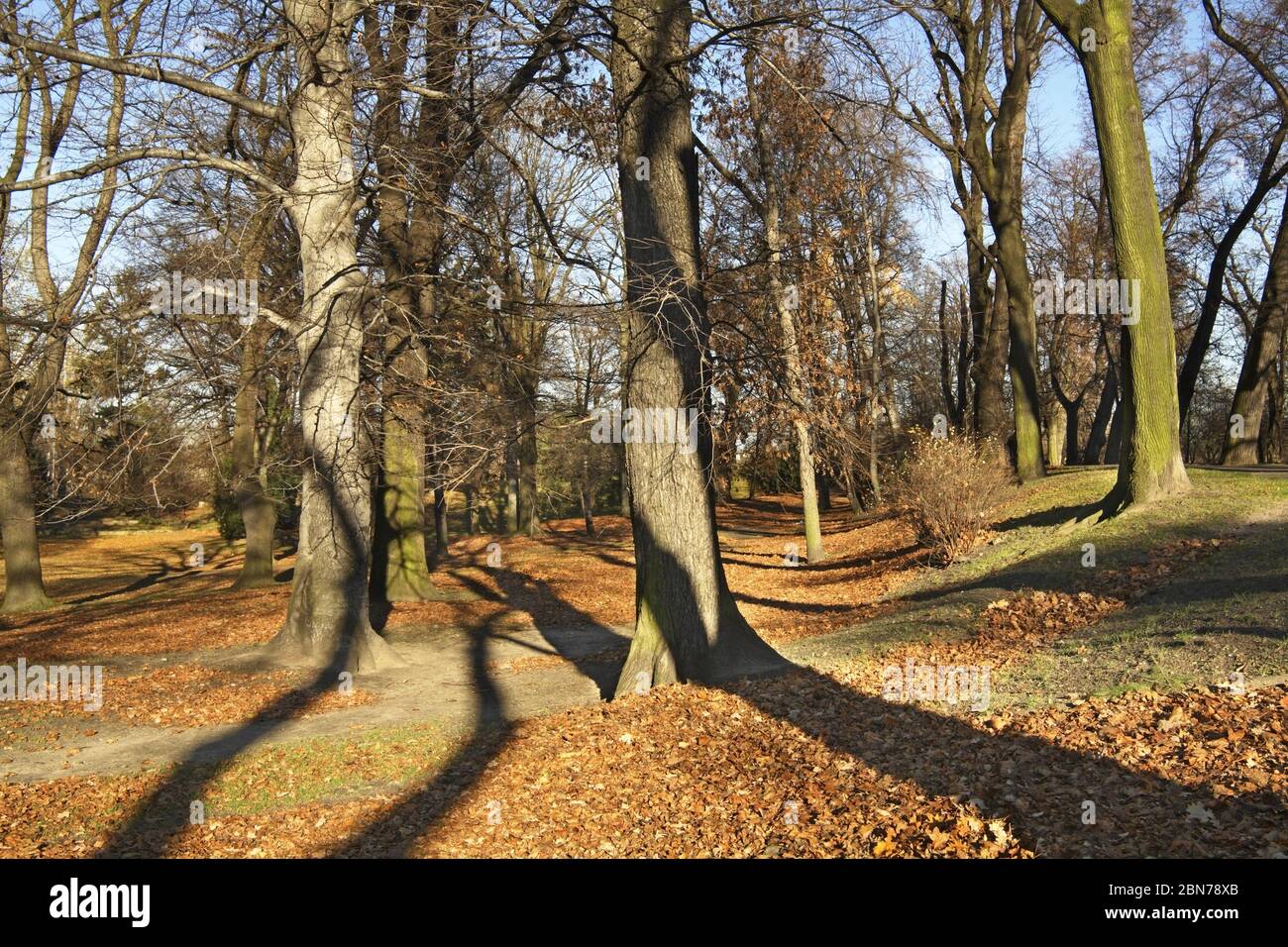 Park in Brzeg. Opole voivodeship. Poland Stock Photo