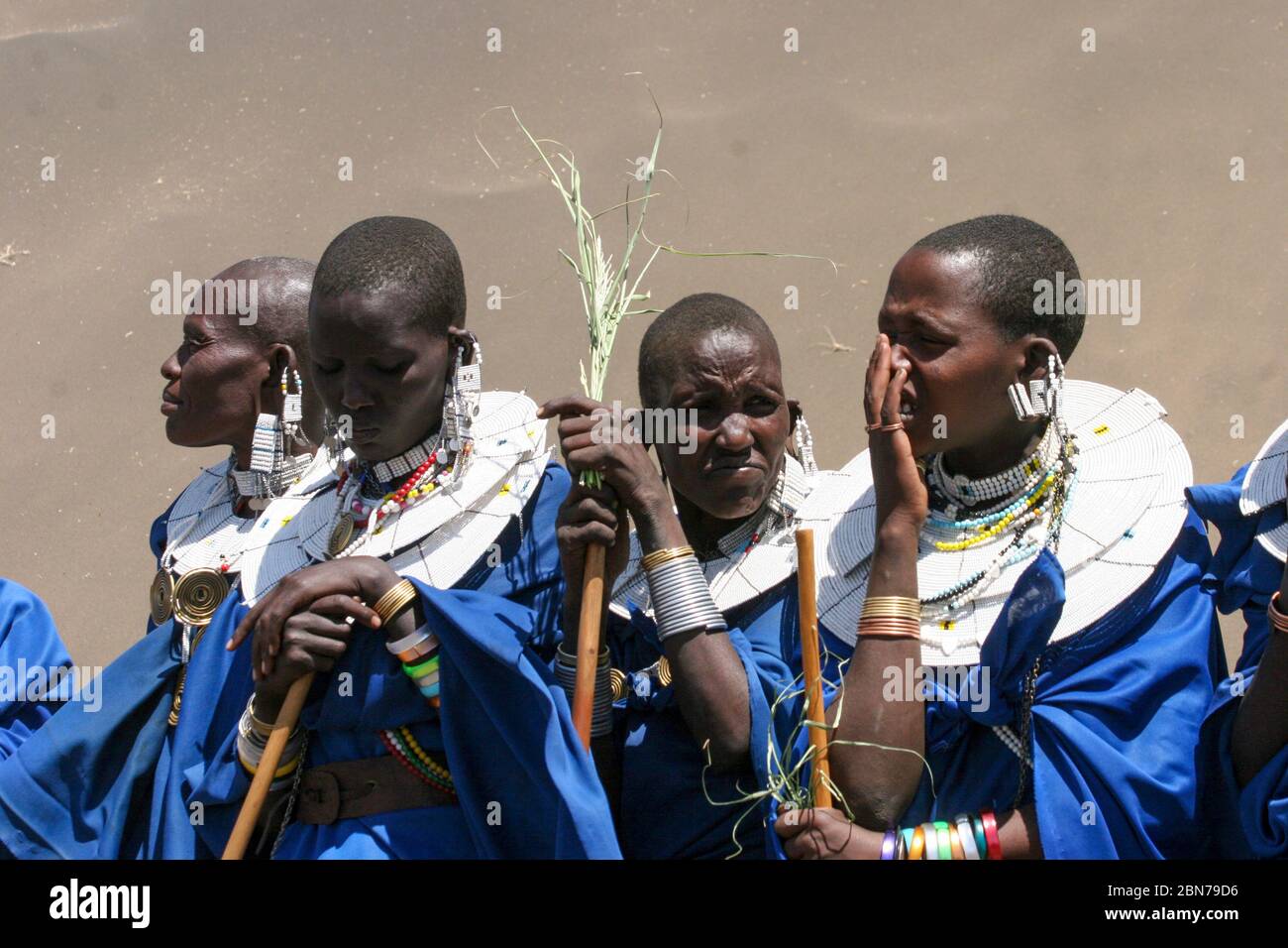 A Group of Maasai women in blue robes. Maasai is an ethnic group of semi-nomadic people. Photographed in Tanzania Stock Photo