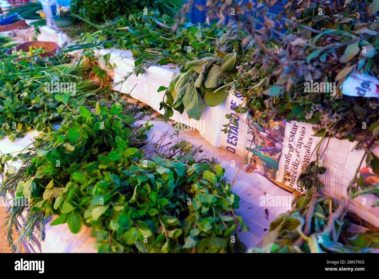 Fresh herbs for sale in an open air street market in Sao Paulo, Brazil, during the COVID19 corona crisis in May 2020. Stock Photo