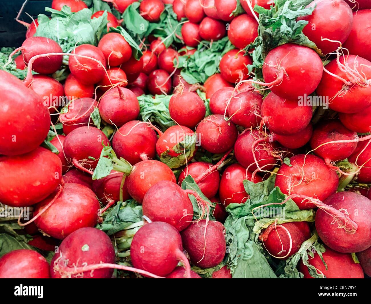 Radishes Ripe Lots sliced vegetables background hi-res stock photography and images ...