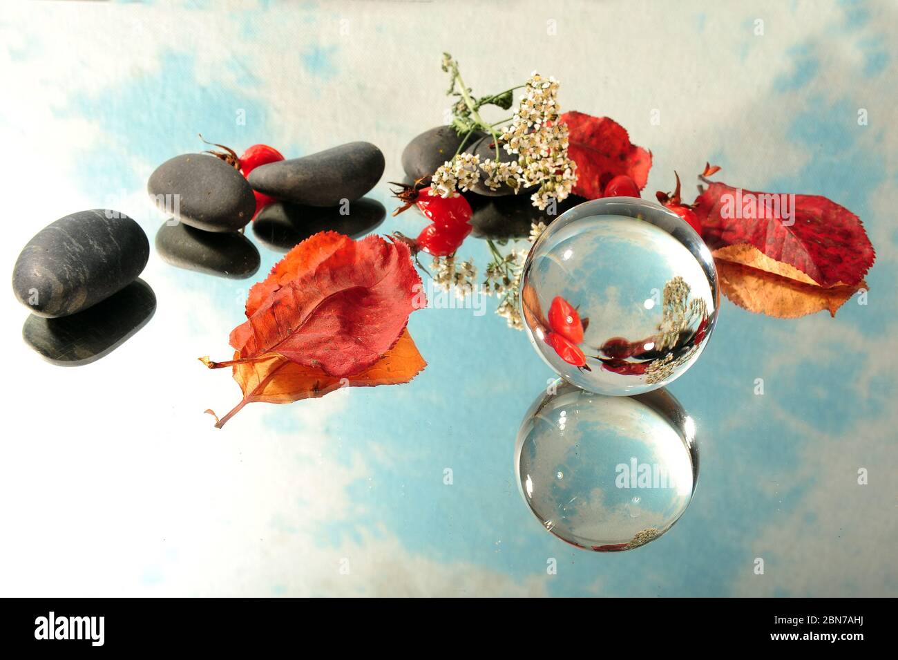 Lens ball photographed on mirror surface along with black pebbles, autumn leaves and white flower. Reflections on surface and in glass ball. Stock Photo
