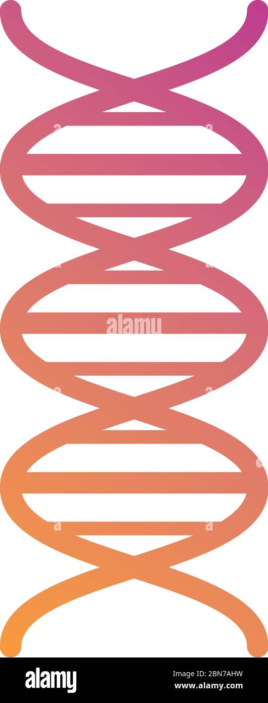 dna molecule medical symbol gradient silhouette style Stock Vector ...