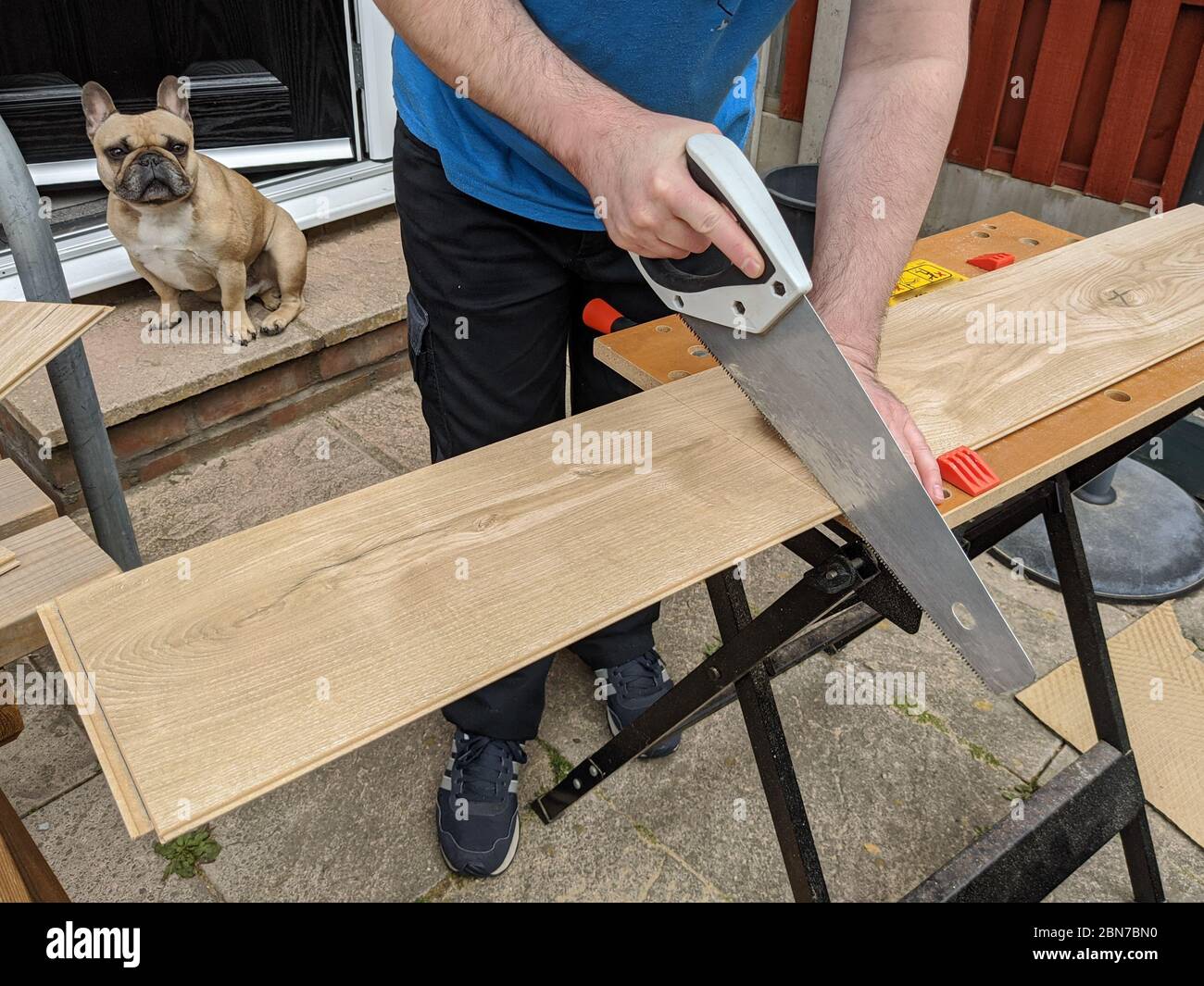 saw to size laminate flooring DIY workbench at home Stock Photo