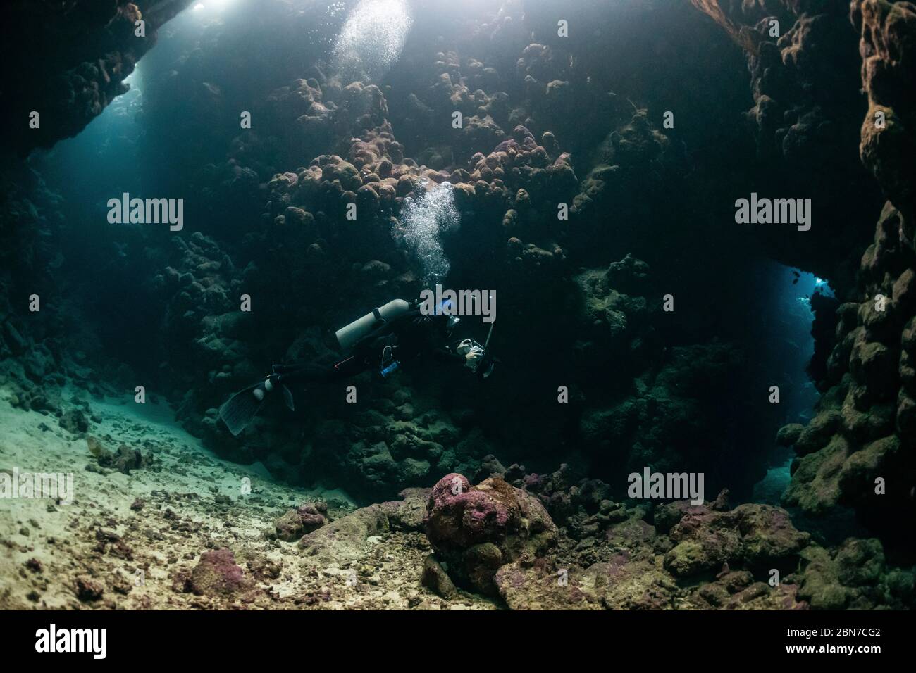 typical underwater cave in a red sea reef with an underwater ...