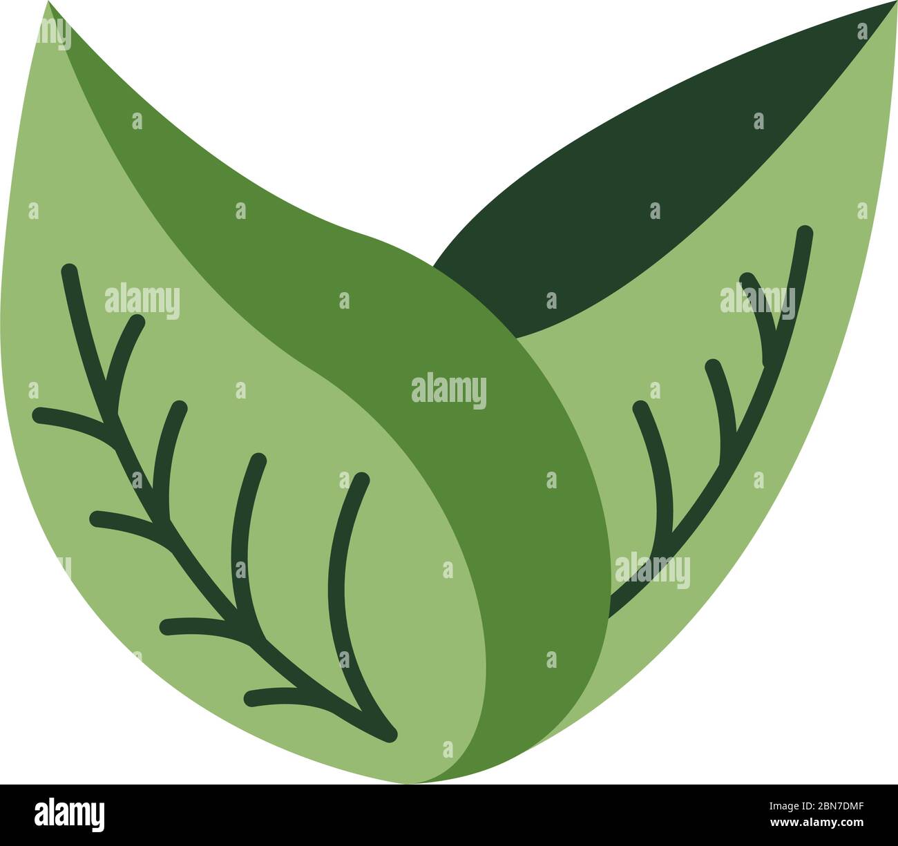 leafs plant organic flat style Stock Vector Image & Art - Alamy
