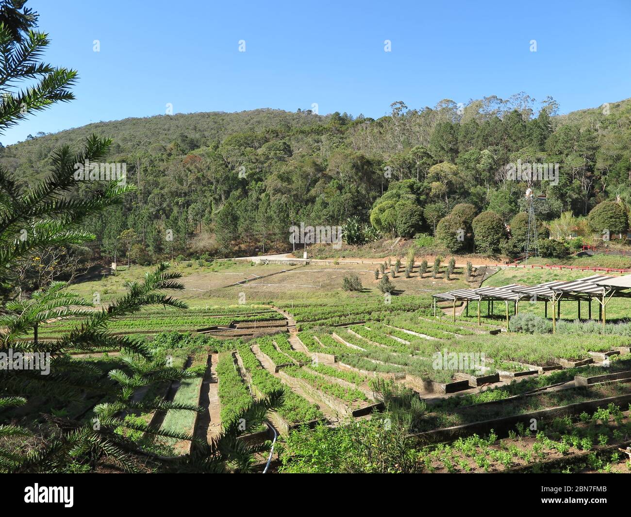 Areal Rio de Janeiro fonte: c8.alamy.com