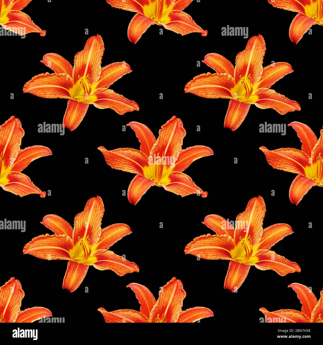 Seamless pattern orange lily flower black background isolated, red ...