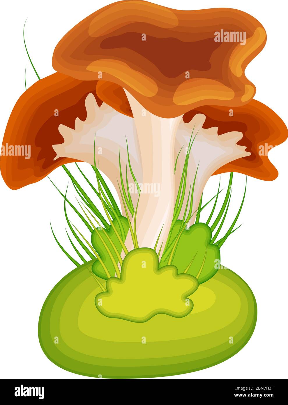 Cartoon mushroom with grass Stock Vector Image & Art Alamy