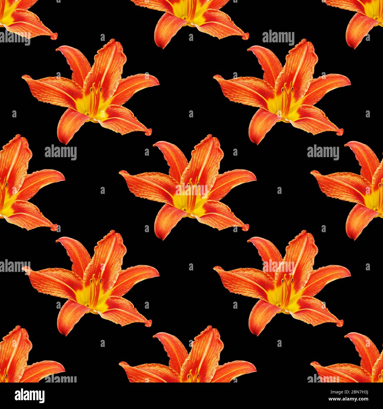 Seamless pattern orange lily flower black background isolated, red ...