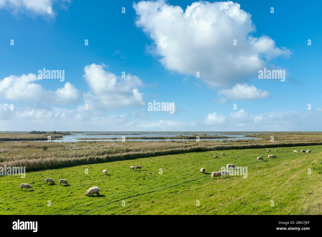 landscape-of-the-beltringharder-koog-near-luettmoorsiel-reussenkoege