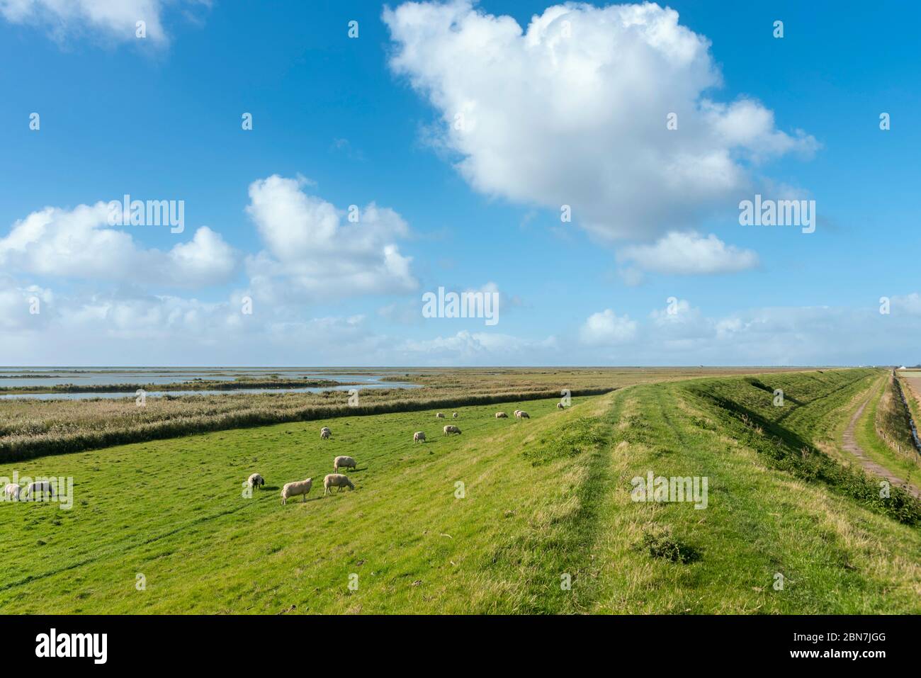landscape-of-the-beltringharder-koog-near-luettmoorsiel-reussenkoege