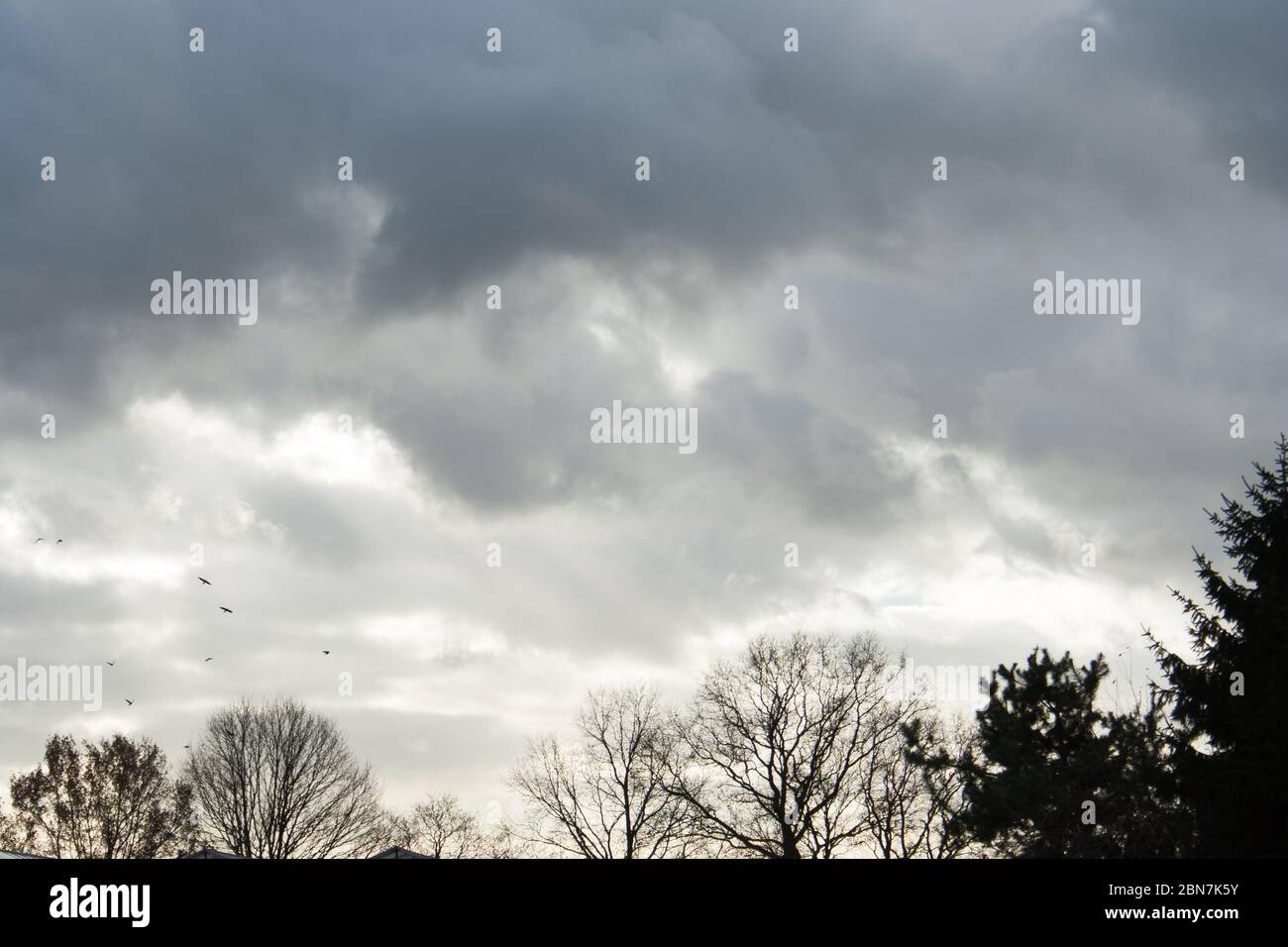 Cloudy Sky with Silhouette of Trees Stock Photo - Alamy