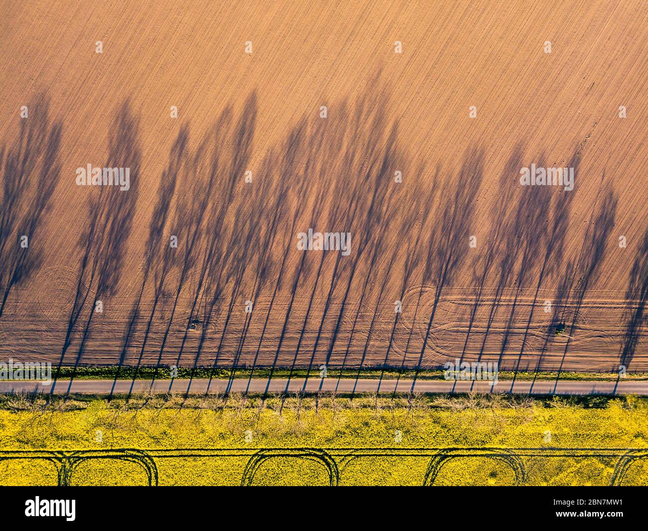 Aerial view of shadow of trees by a road, agriculture concept from drone perspective. Natural flat background directly above fields. Drone photography Stock Photo
