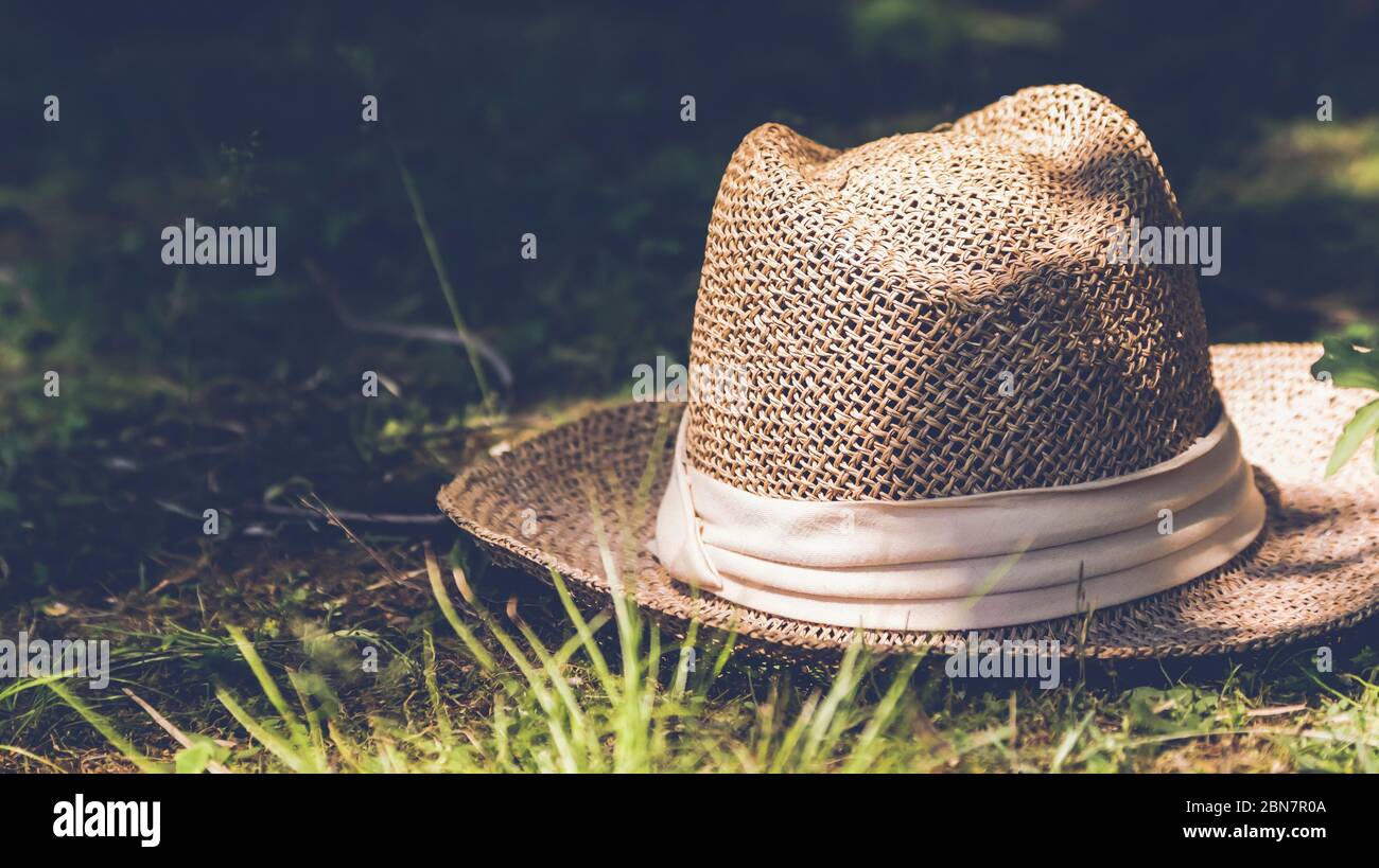 stetson seagrass