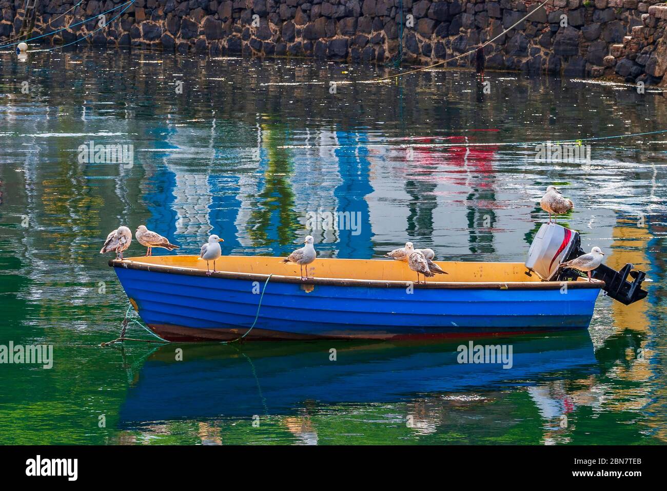 760+ Row Boat With Motor Stock Photos, Pictures & Royalty-Free