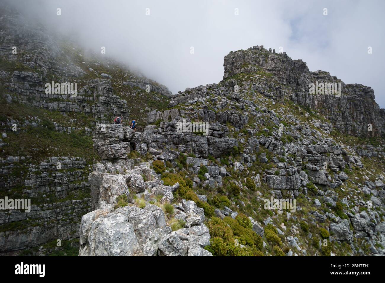 Devils Peak in Table Mountain National Park, Cape Town, South Africa offers urban hiking trails like this route via Mowbray Ridge up Devil's Peak. Stock Photo