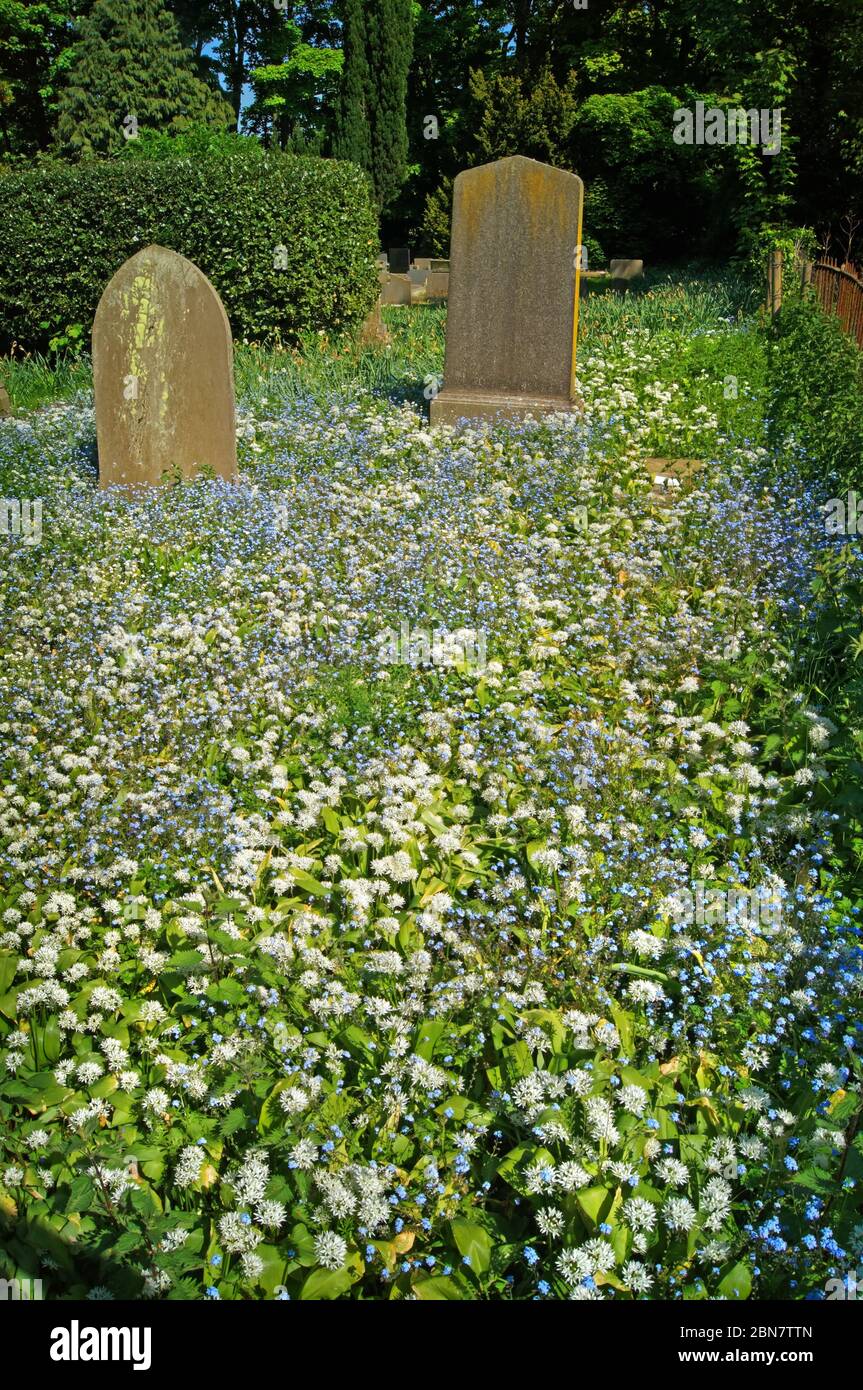 Brodsworth church hires stock photography and images Alamy
