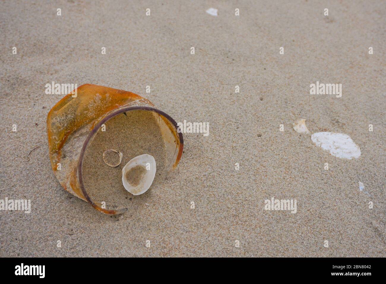 Rusty plastic cup on a sand after sea storm. Garbage in the nature. Environmental pollution. Ecological problem  Stock Photo