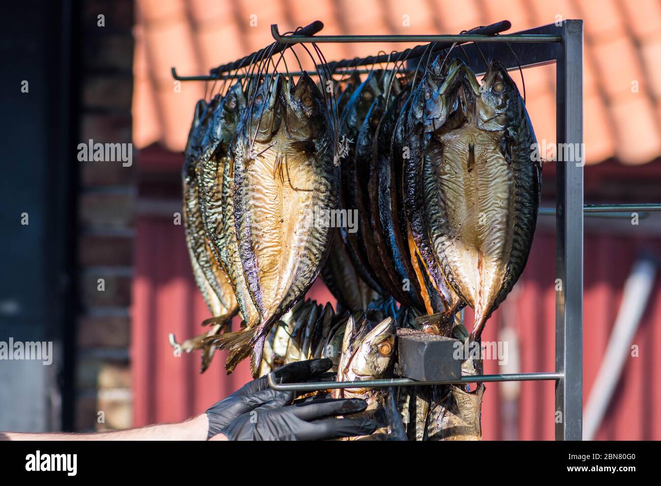 Dry smoked spiced mackerel fresh fish in a fish market with seller