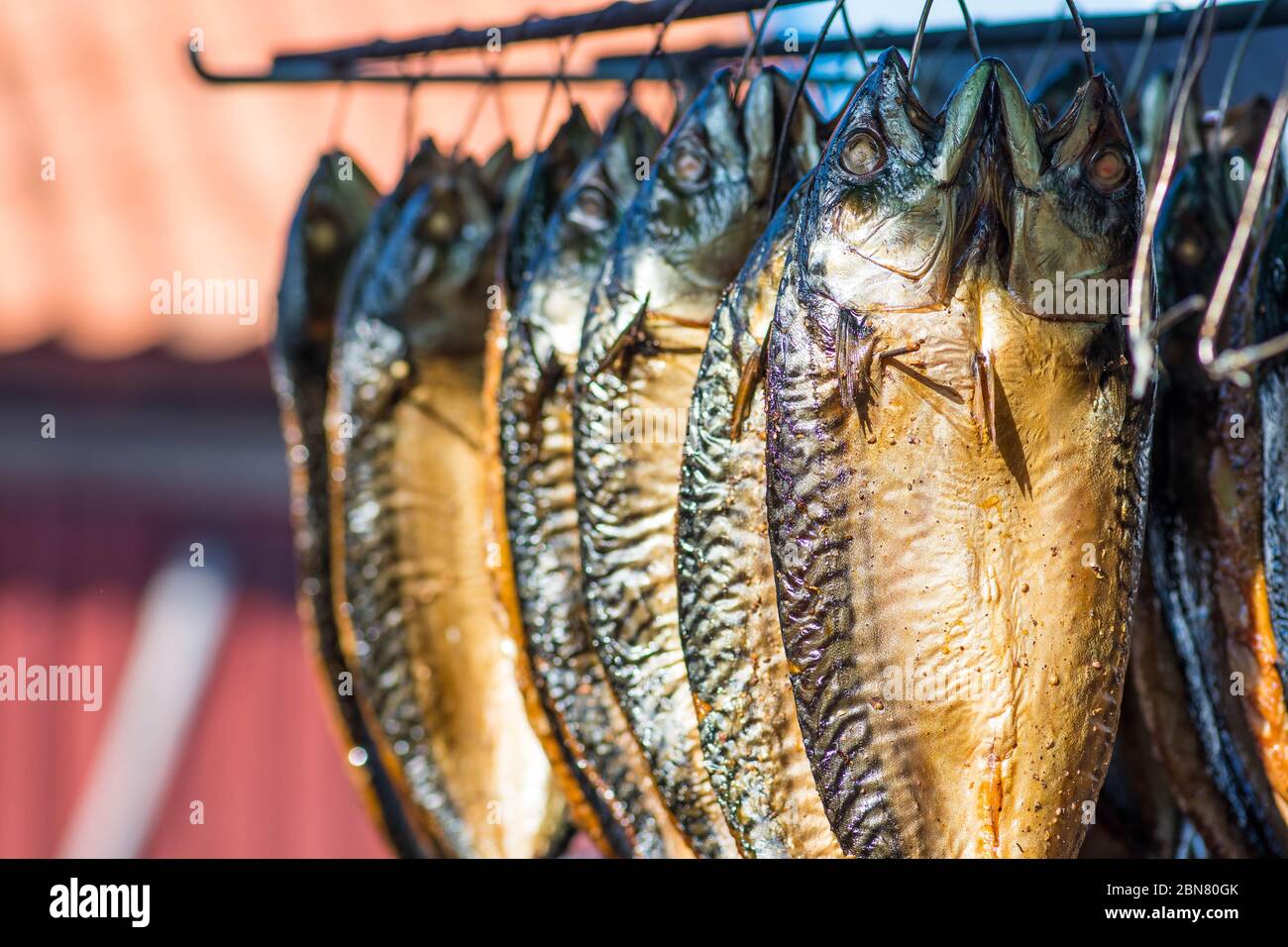 Dry smoked spiced mackerel fresh fish in a fish market Stock Photo Alamy