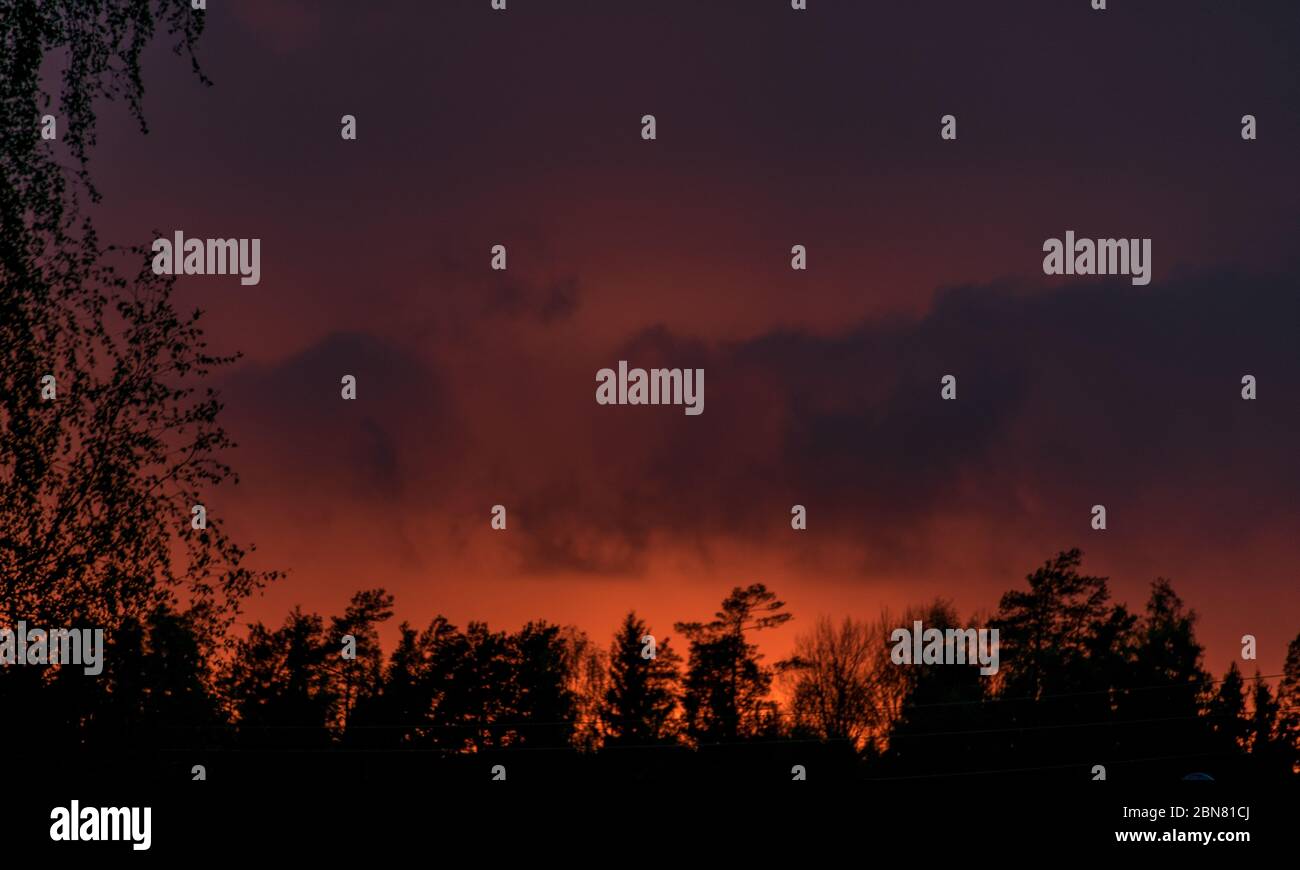 gorgeous sunset sky, black tree silhouettes, wallpaper Stock Photo - Alamy