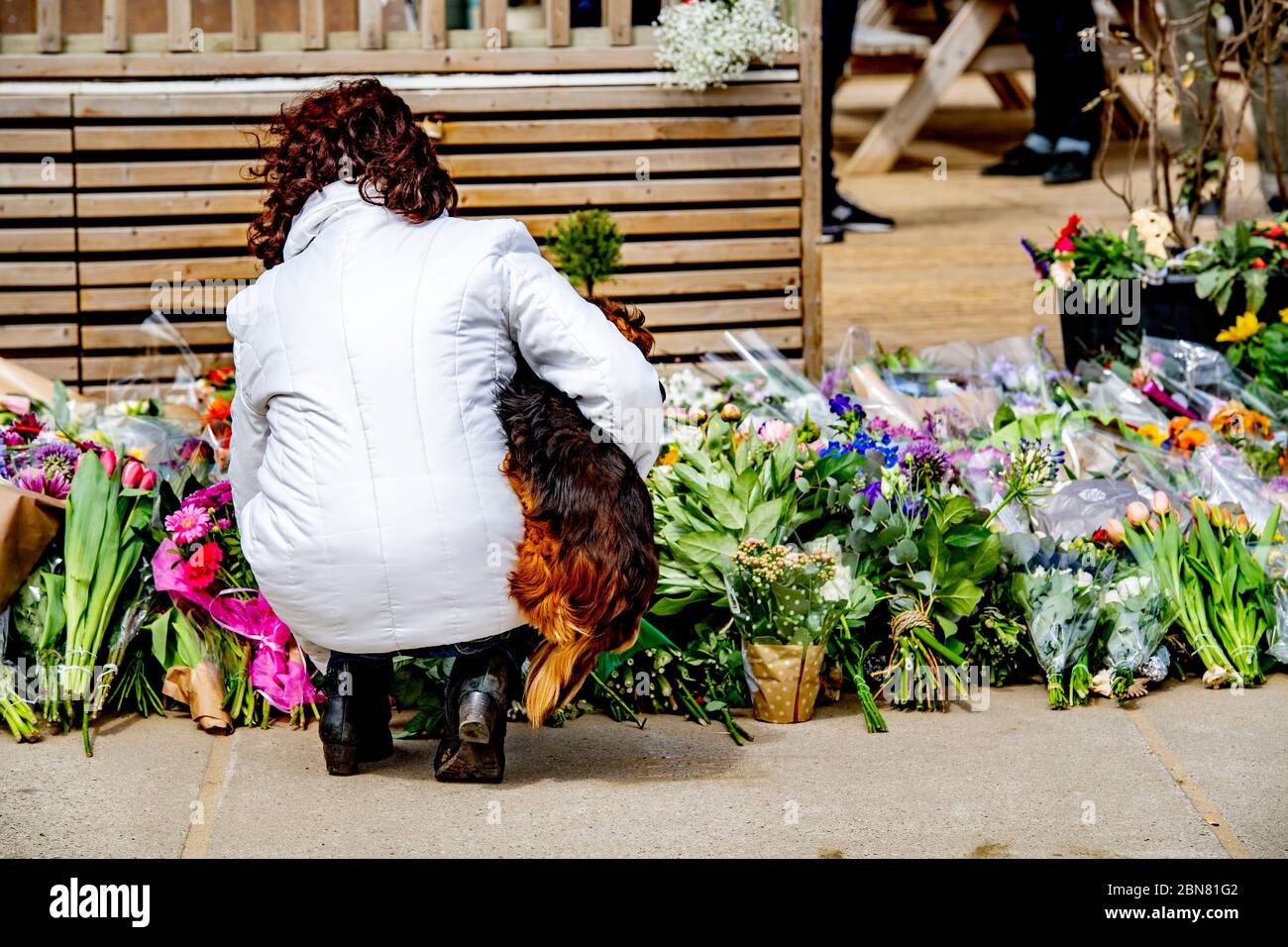 A woman lays flowers on the after surfers drowned in a storm.A total of five surfers are now known to have died after strong winds and thick layer of sea foam apparently caught the group off guard at the Noordelijk Havenhoofd. Stock Photo