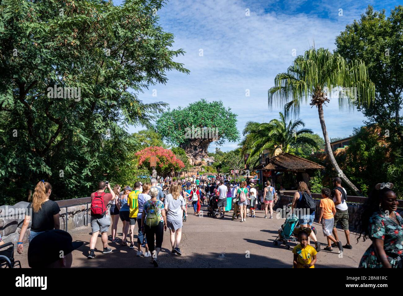 Pandora at Disney's Animal Kingdom Theme Park. A very immersive world based on the world Pandora from James Cameron's Avatar Stock Photo
