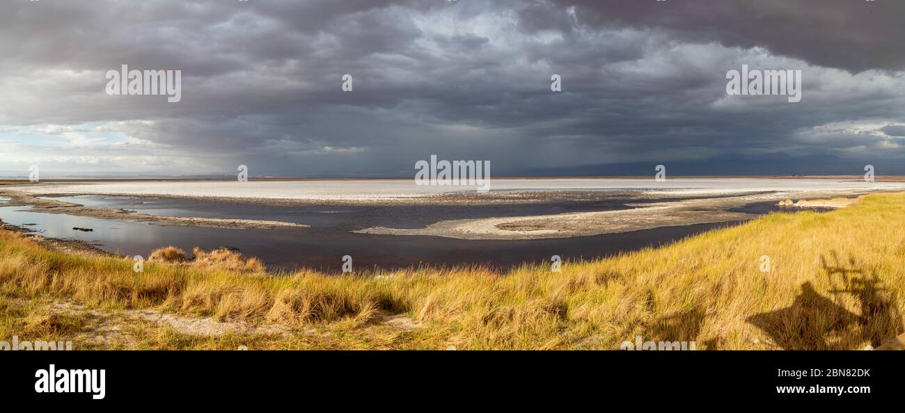 Looking east from the western edge of Laguna Tebinquiche, San Pedro de Atacama, Chile Stock Photo