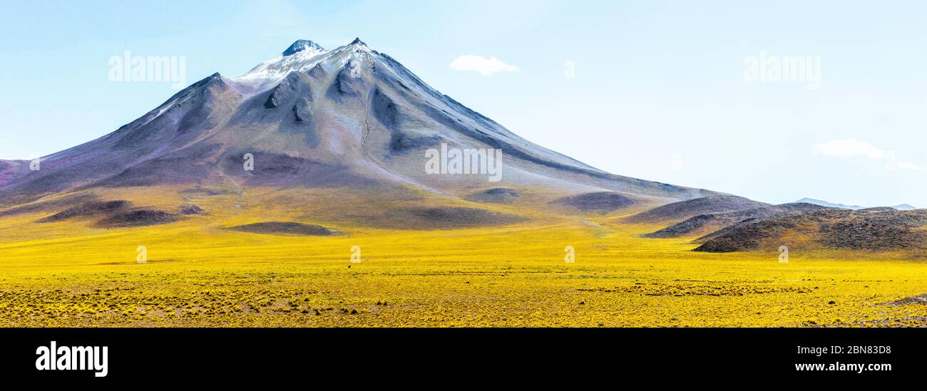 panorama with snow on the Miniques Volcano and yellow plants inthe foreground, presented as an oil painting Stock Photo