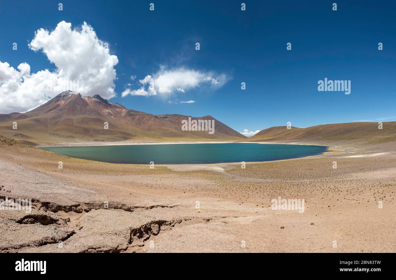 Laguna Miscanti with the Cerro Miscanti in the background, Atacama, Chile Stock Photo