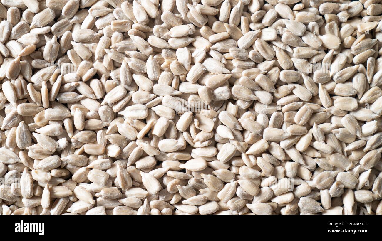 Scattered peeled sunflower seeds as background. Shelled sunflower seeds