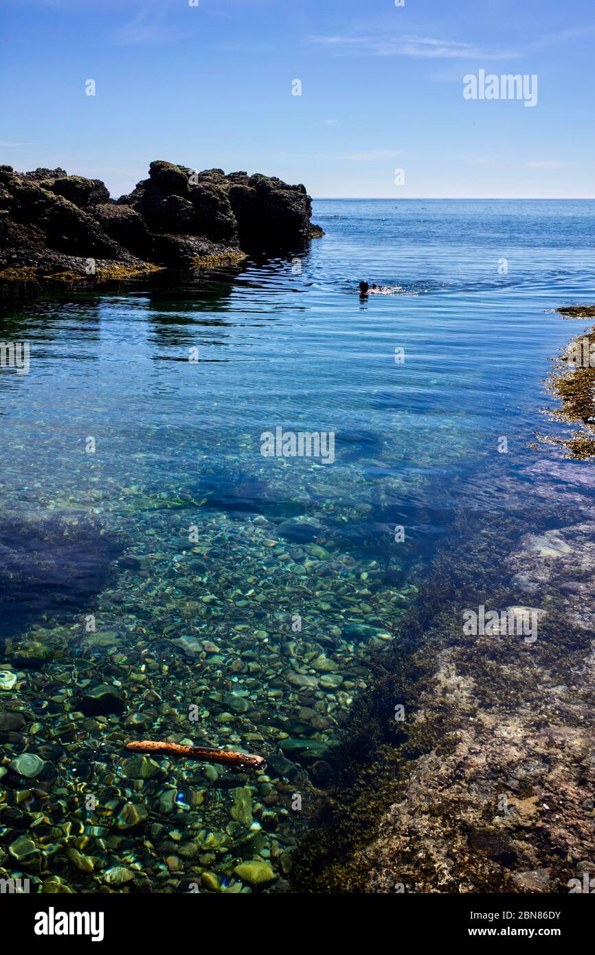 Lone wild swimmer in the clear Irish Sea water at Dreswick Harbour, Langness, Isle of Man Stock Photo