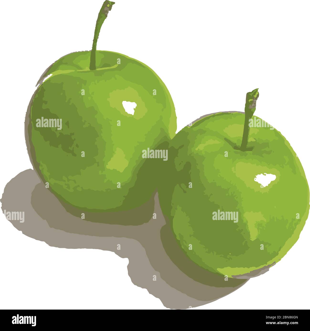 Yellow green plums Stock Vector Images Alamy