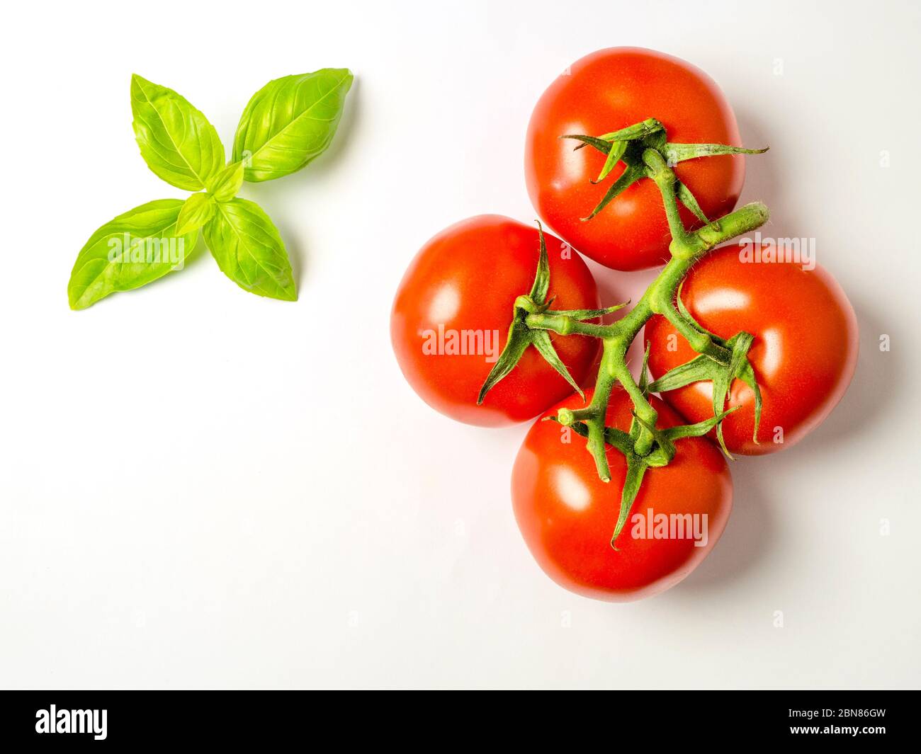 Four ripe red tomatoes on the vine with a sprig of basil on a white ...