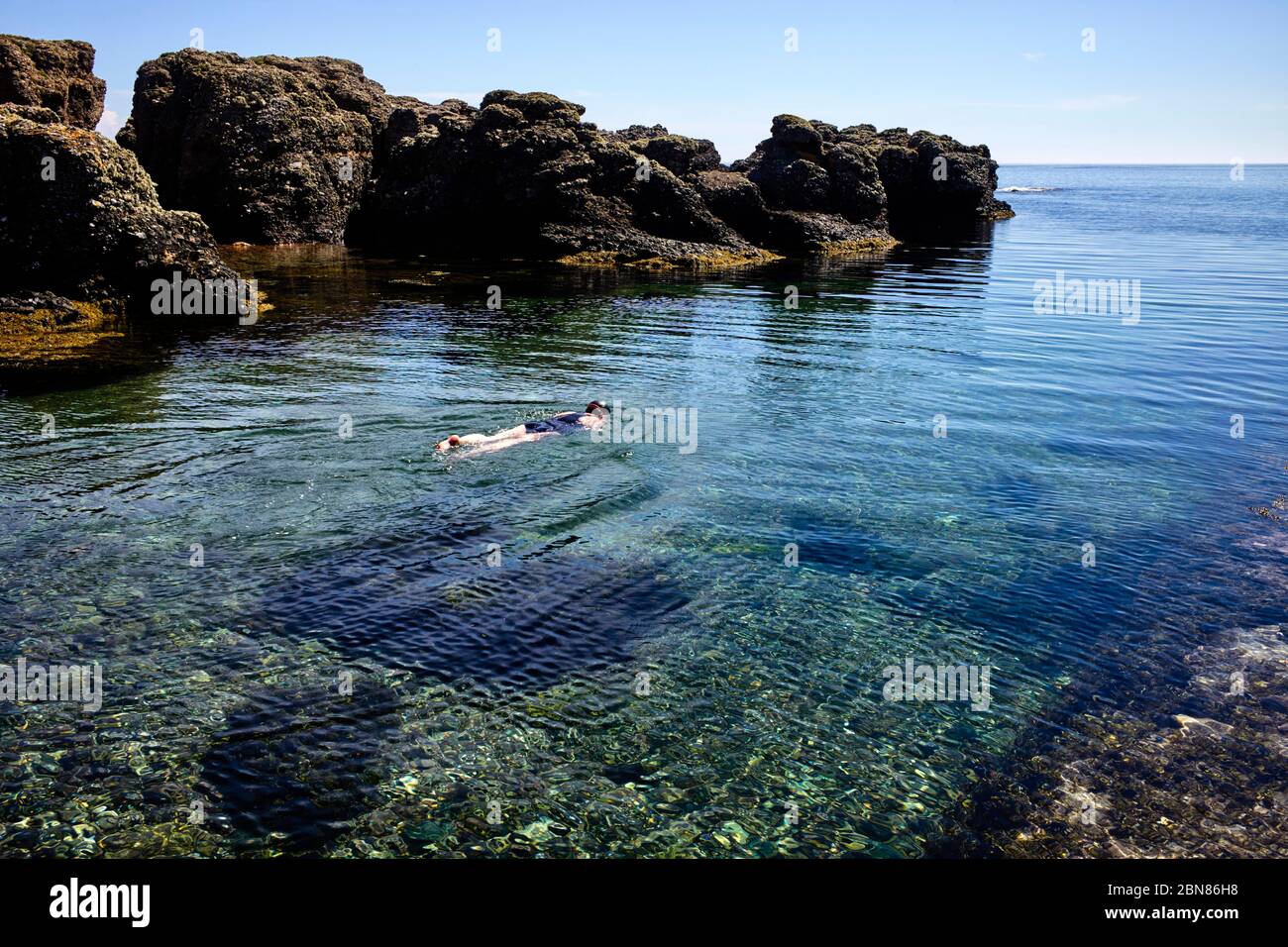 Lone wild swimmer in the clear Irish Sea water at Dreswick Harbour, Langness, Isle of Man Stock Photo