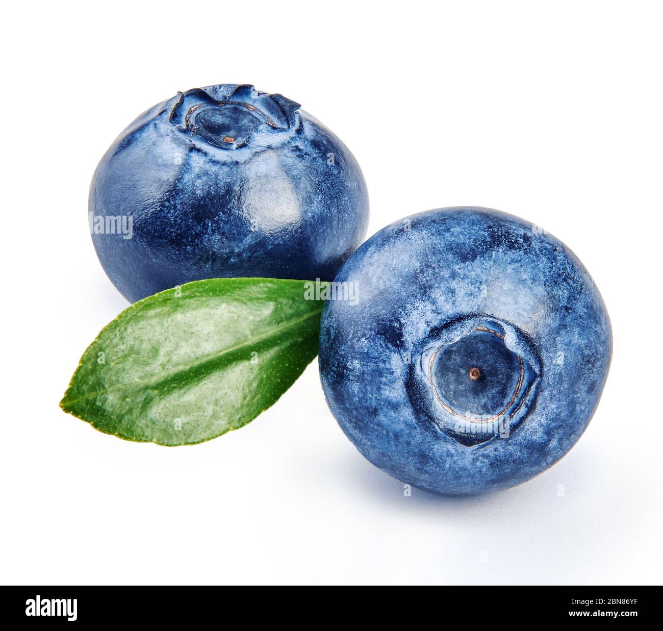 Two blueberries with blueberry leaf isolated on white background. Stock Photo