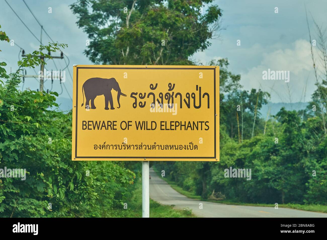A road sign warning of wild elephants, taken in Kanchanaburi, Thailand. Stock Photo
