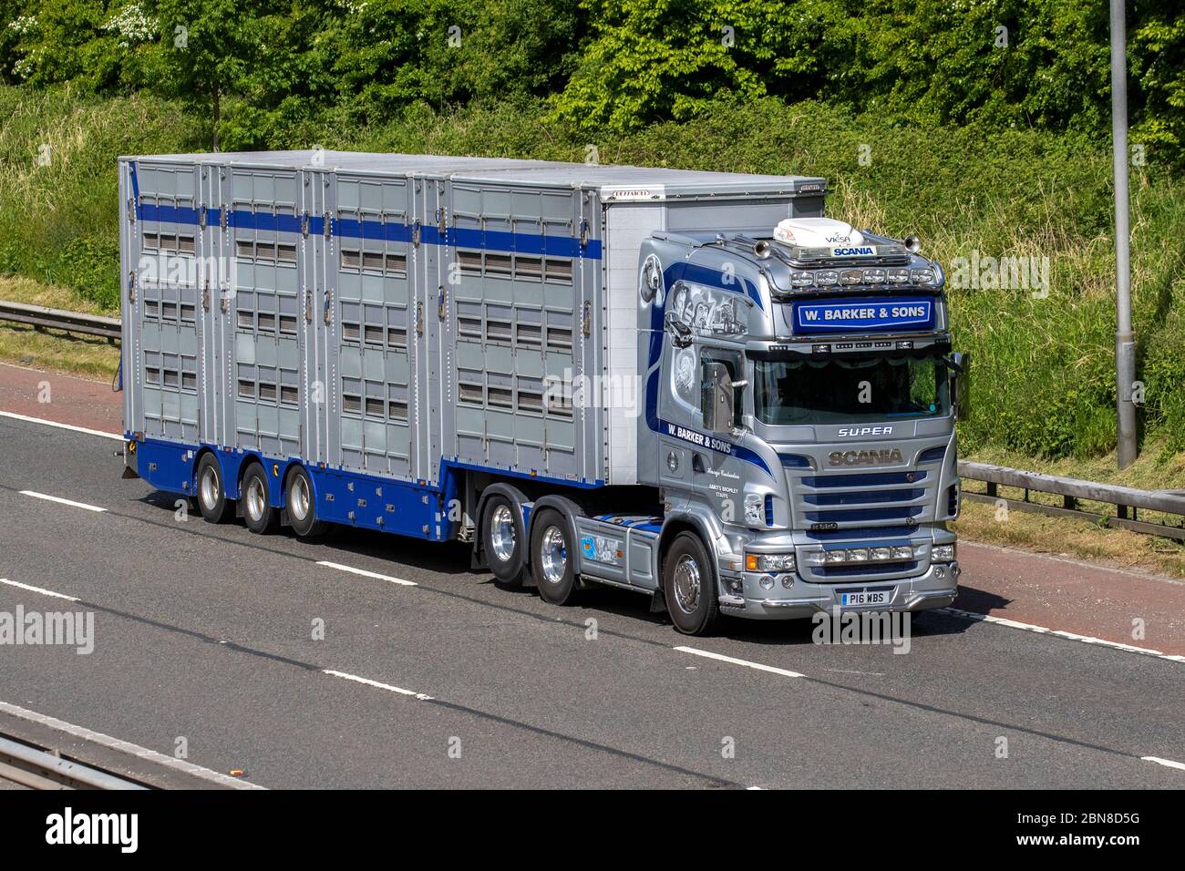 W Barker & Sons animal Haulage delivery trucks, lorry, transportation