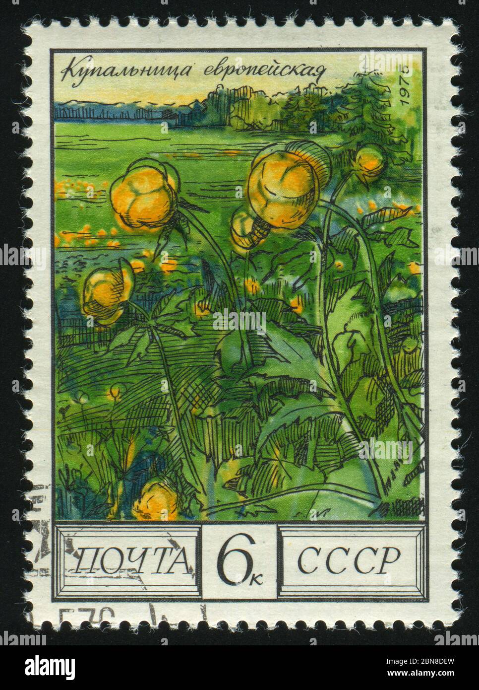 RUSSIA CIRCA 1976 Flowers of the Caucasus Checkered lily, circa 1976