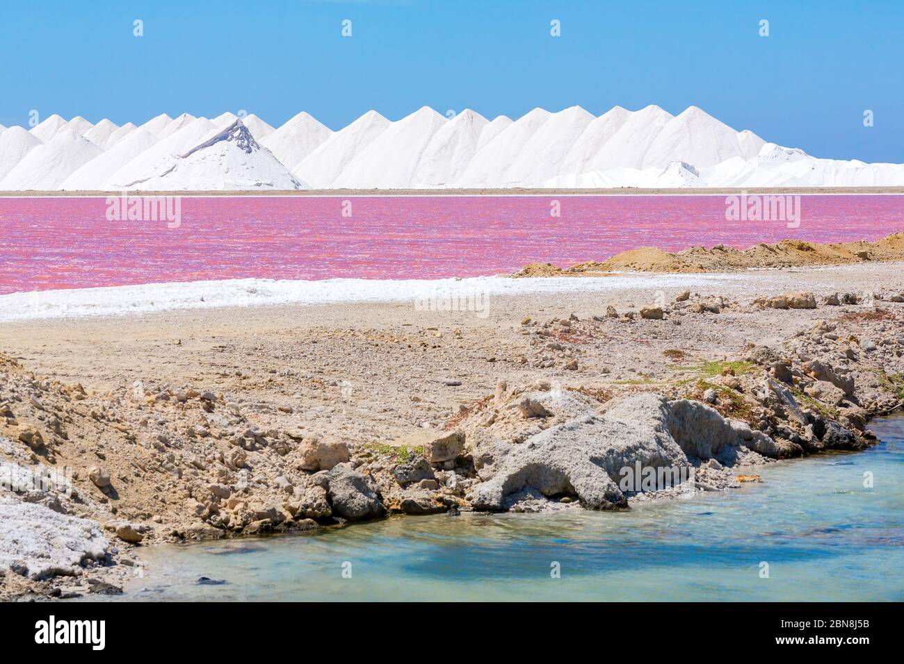 White salt hills with pink salt lake and blue sky on Bonaire Stock Photo