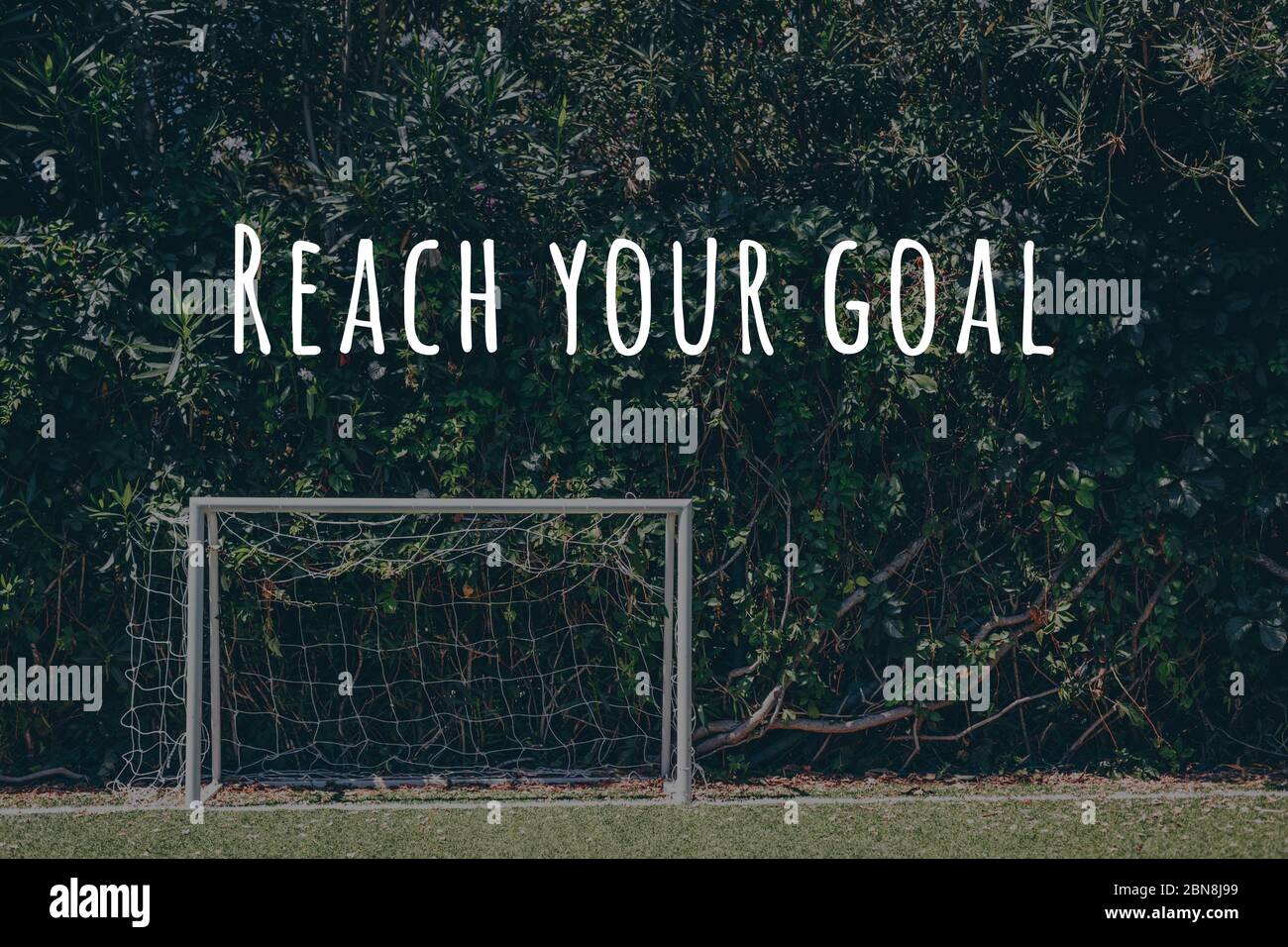 Soccer goal at the outdoor amateur field surrounded by green plant wall