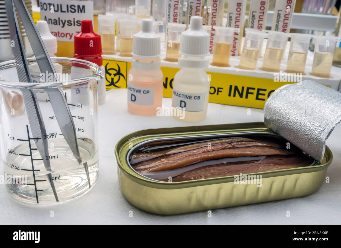 Canned food can contaminated by Clostridium botulinum toxin that causes botulism in humans