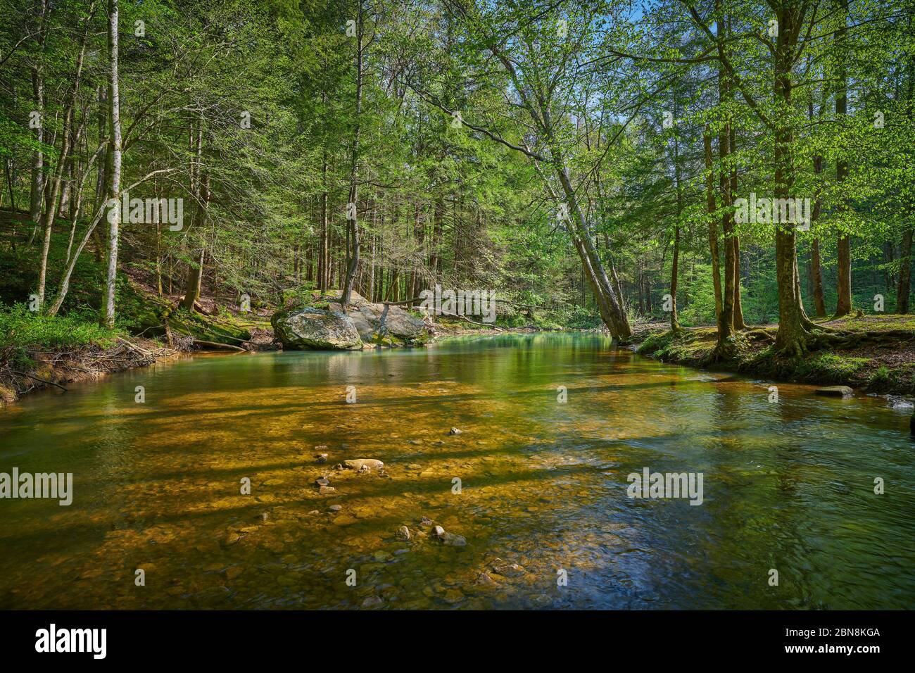 No people stream trees tourism hi-res stock photography and images - Alamy